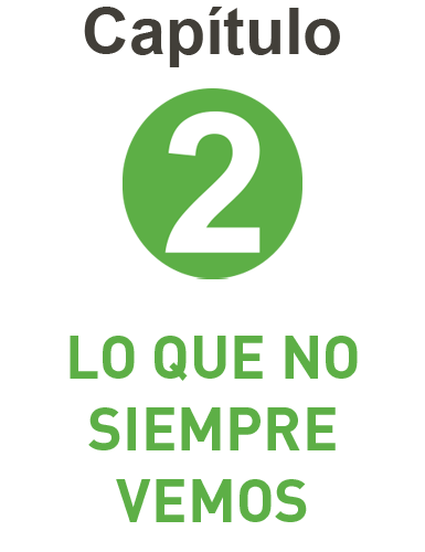 Capítulo 2